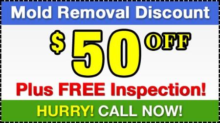 Mold Removal Experts Montreal - Montreal, QC H2T 2E8 - (514)700-4510 | ShowMeLocal.com